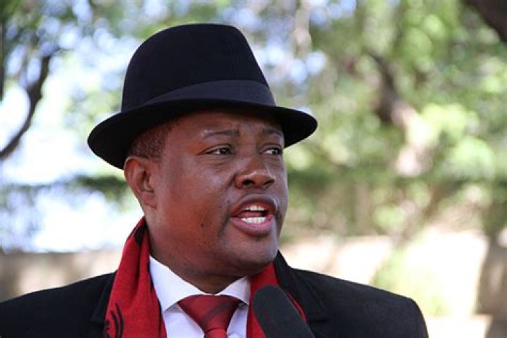 McHenry Venaani Biography, Age, Height, Wife, Net Worth, Family