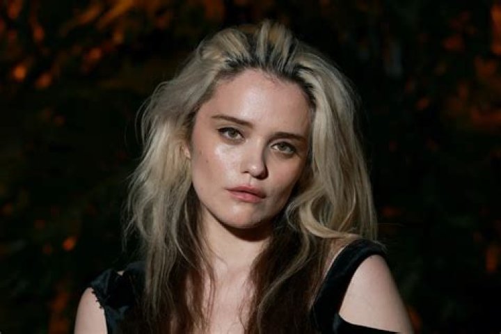 Sky Ferreira Biography, Age, Height, Husband, Net Worth, Family