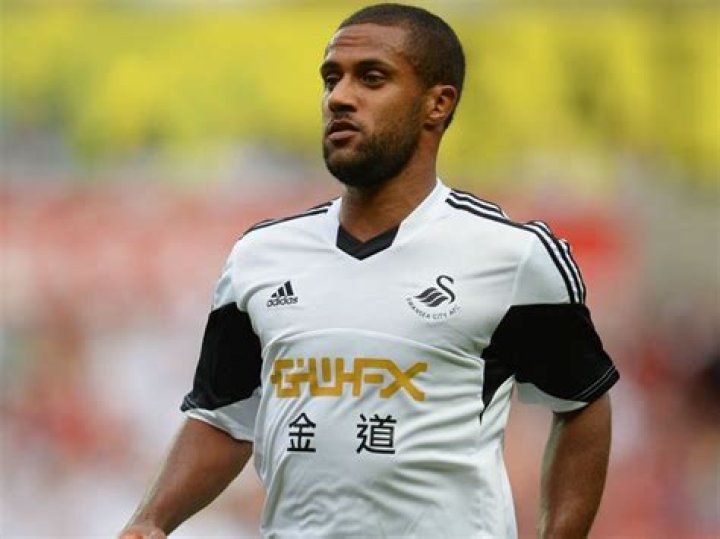 Wayne Routledge Biography, Age, Height, Wife, Net Worth, Family